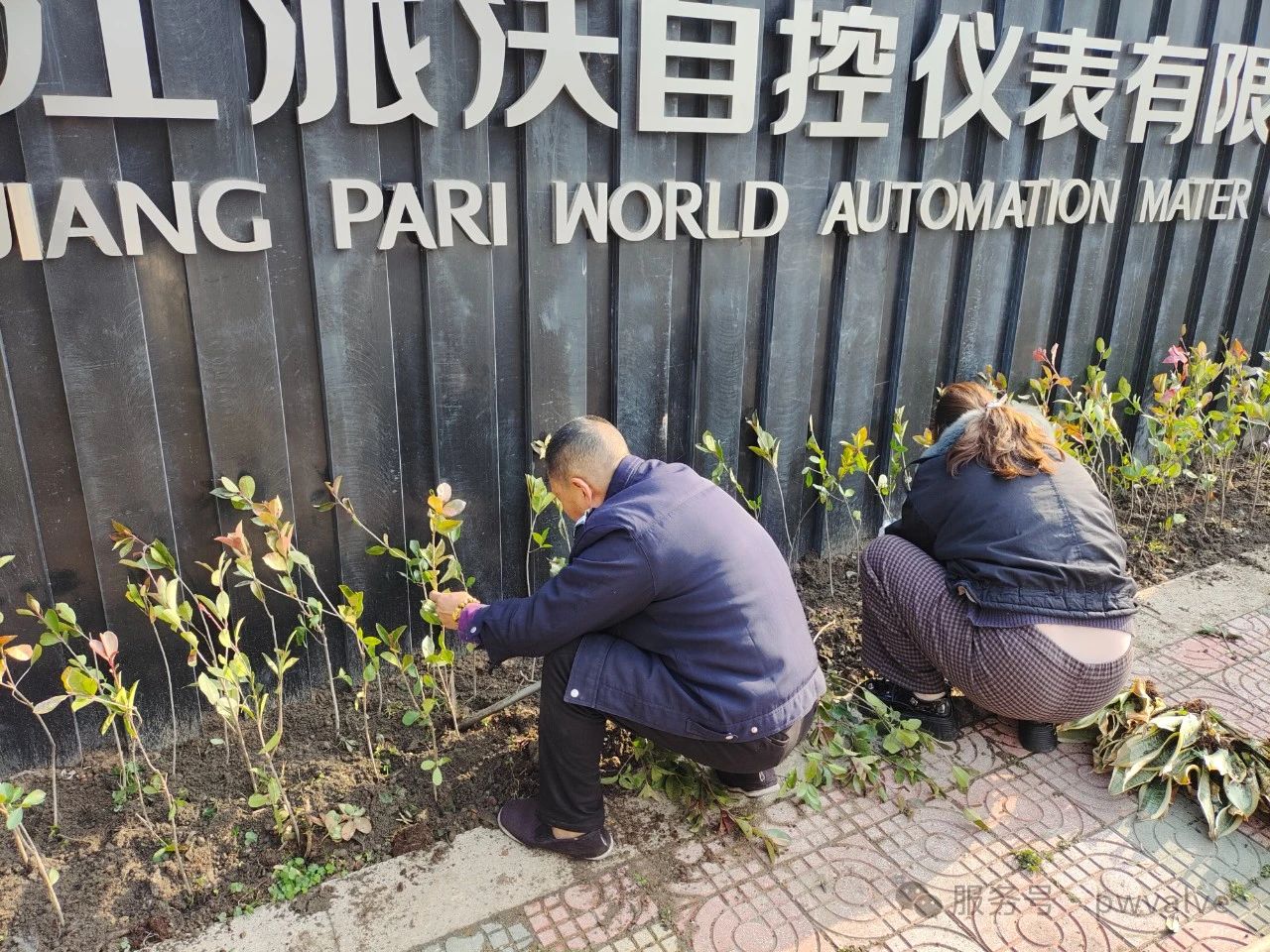 派沃自控開展植樹節(jié)活動 派沃自控開展植樹節(jié)活動