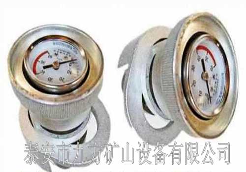 DZ-CL-1w֧yӋ
